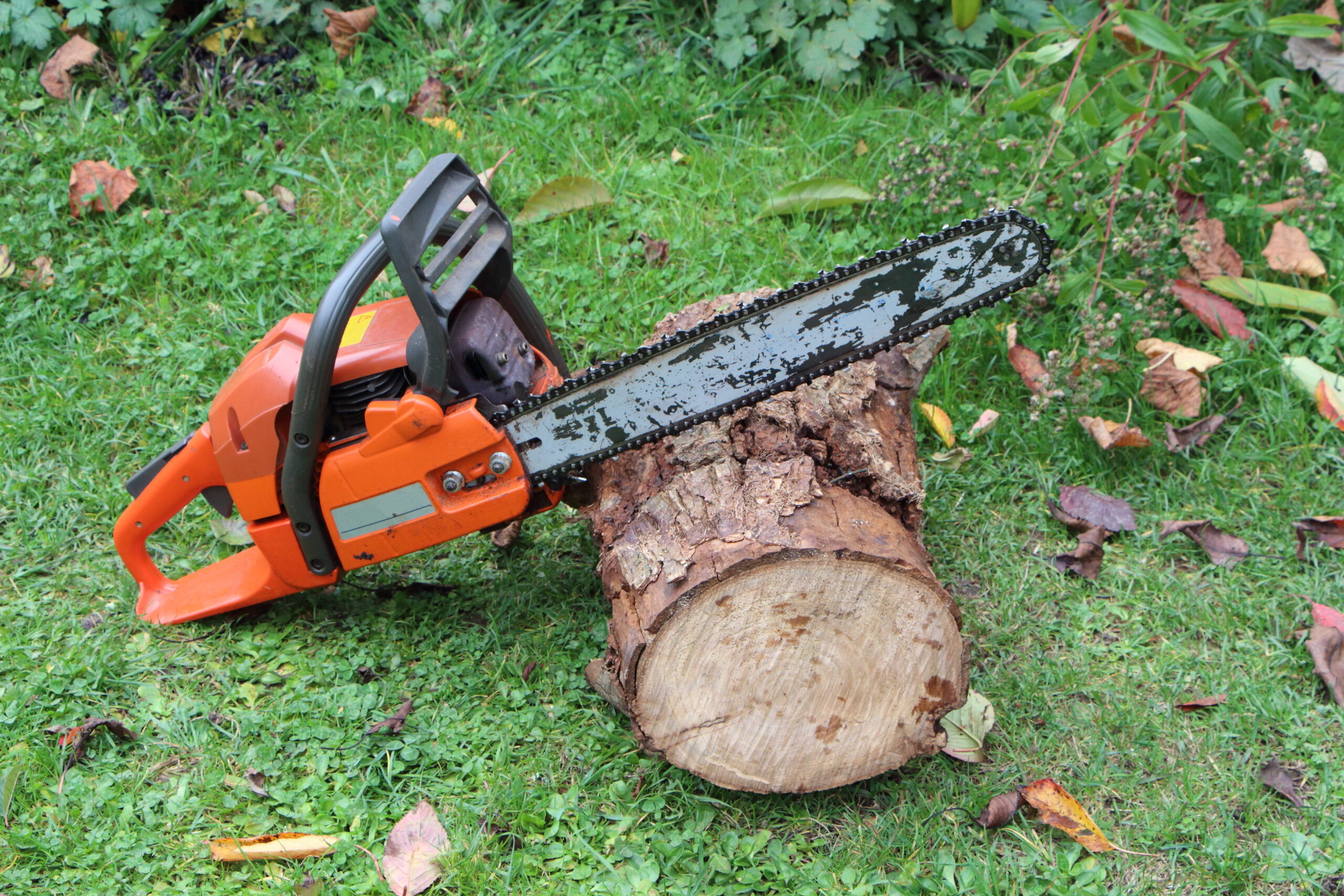 Abattage d'arbre à Esch-sur-Alzette